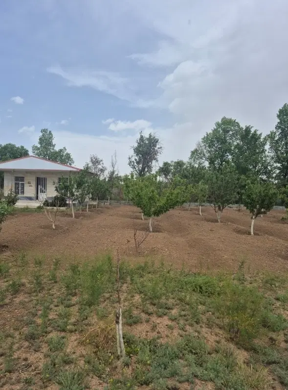 باغ فروشی در چقا