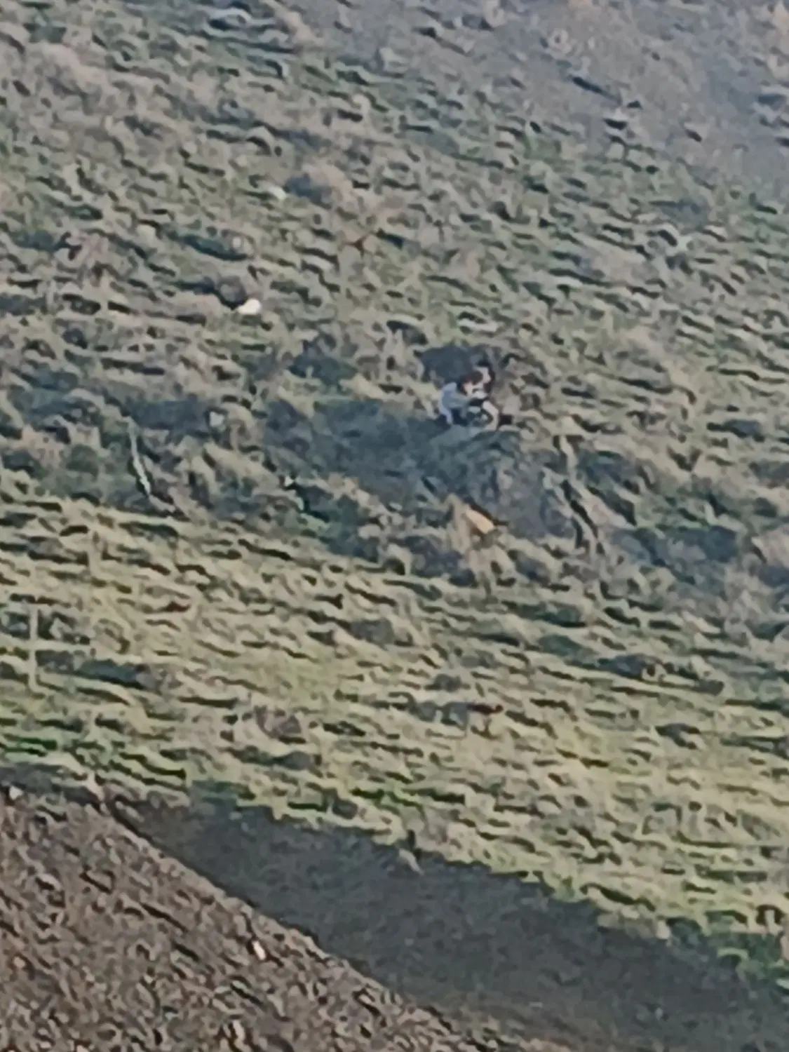 زمین نوکان