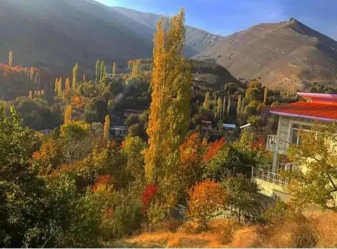 ۲۷۰ متر زمین مسکونی(شهرکی) + جواز ساخت جاده چالوس