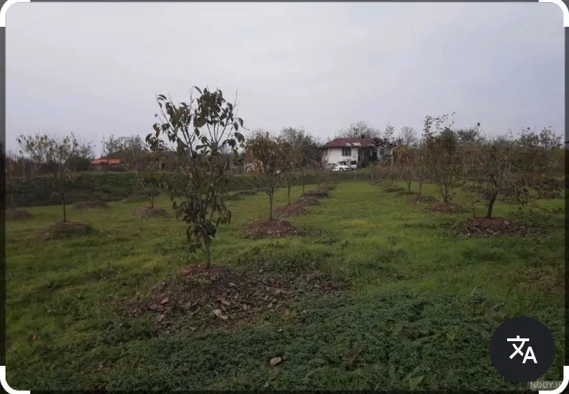 فروش زمین باغی ۱۷ هزار متری قرچک تهران
