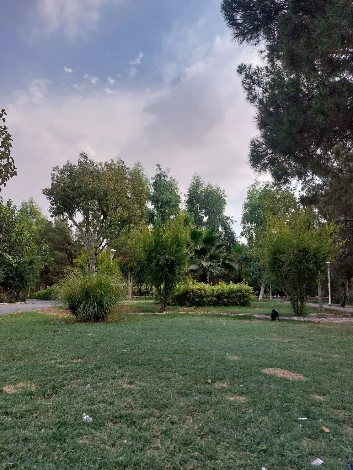 زمین آبرندان فروشی