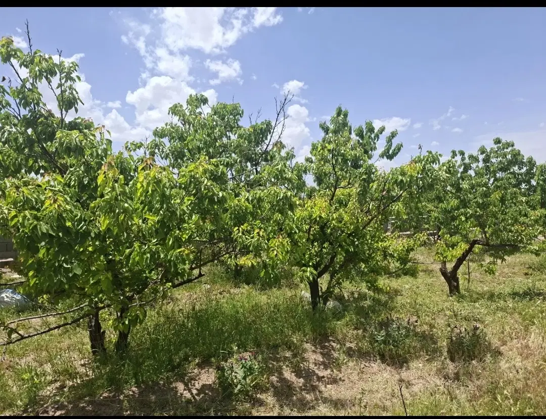فروش خانه نیمه ساز روستای گردشگری سکنج ماهان کرمان