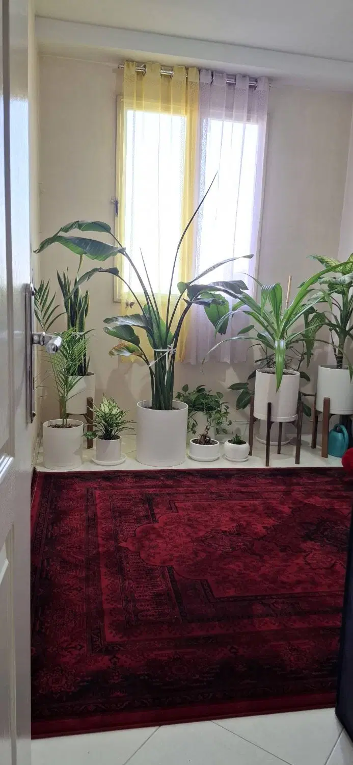 75متری تک واحدی دو خوابه