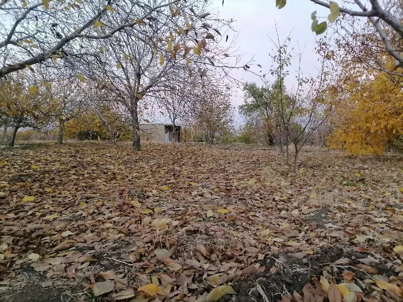 زمین باغی و صنعتی