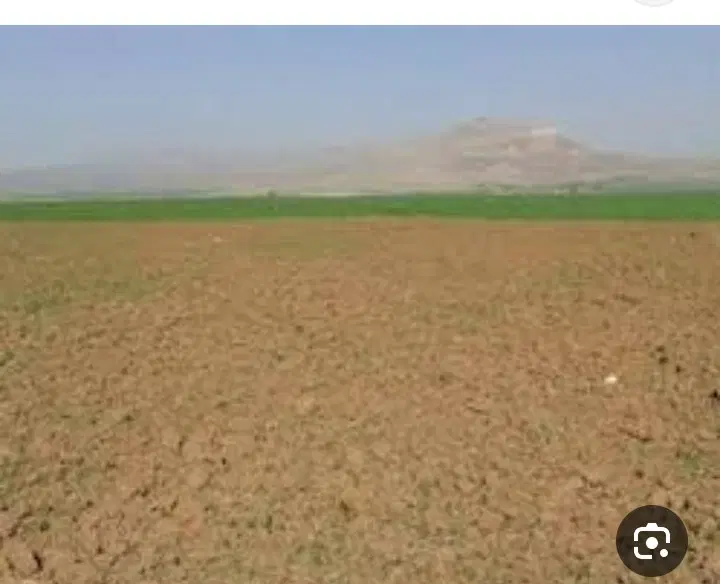 زمین کشاورزی دیم 2هکتار