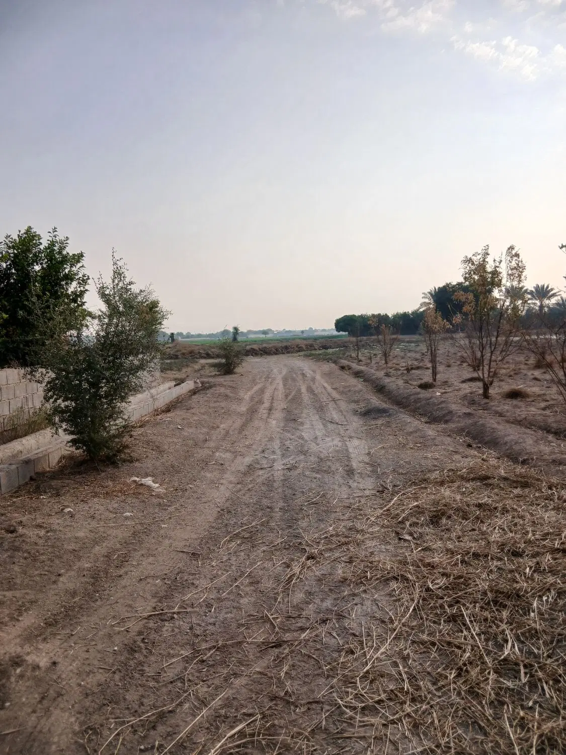زمین باغچه ۶۰۰متری
