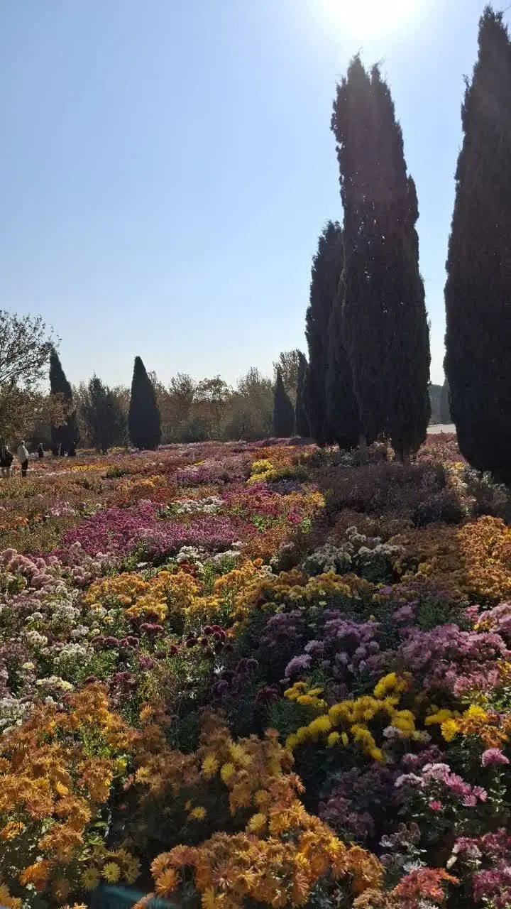 طبقه‌ی دوم  گلستان
