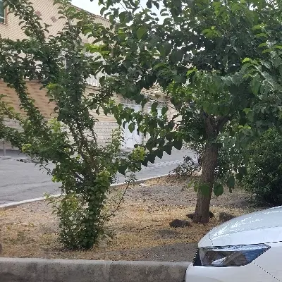 مغازه ۲۲ متری محله سی ۱