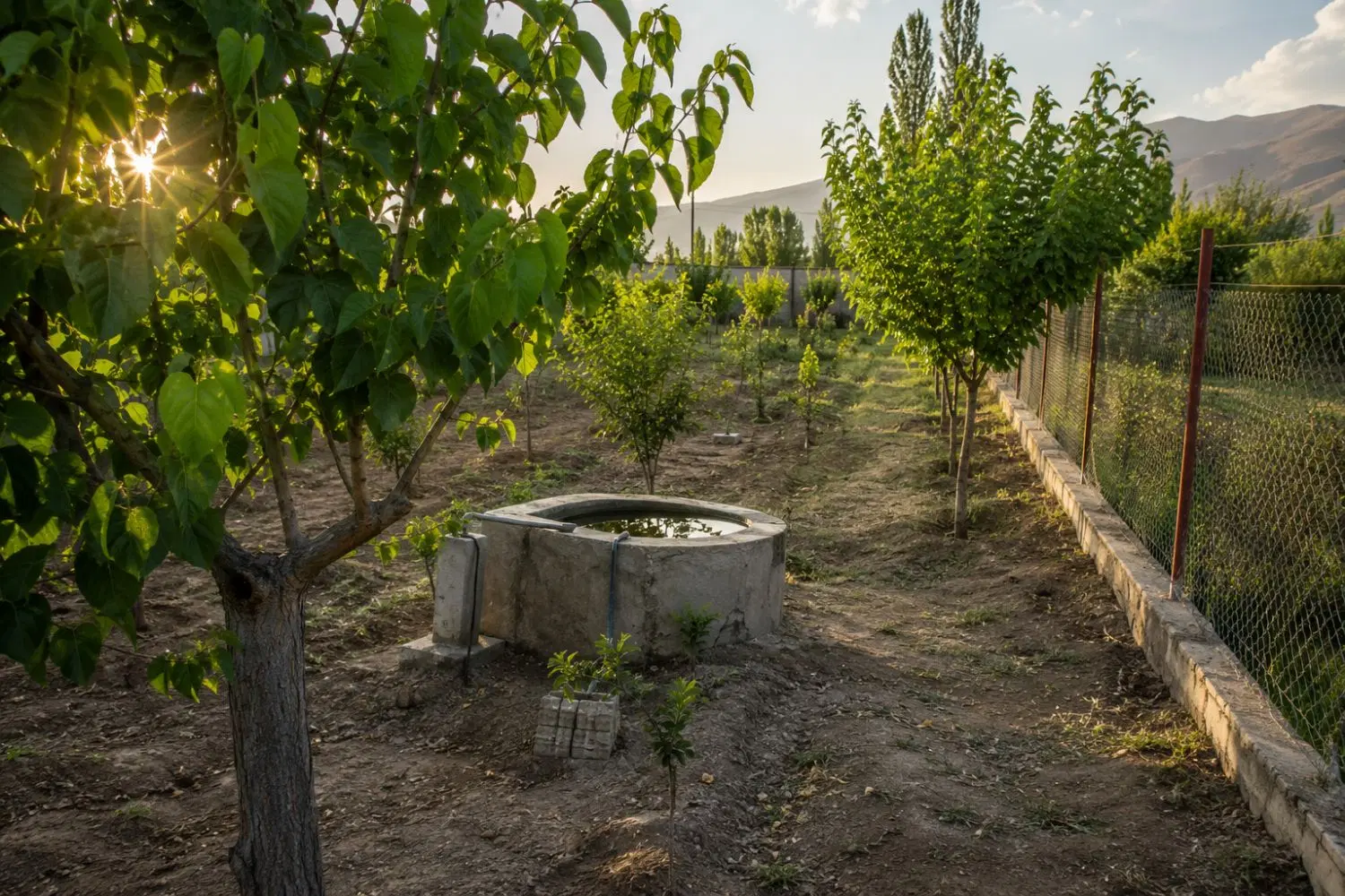 زمین باغ