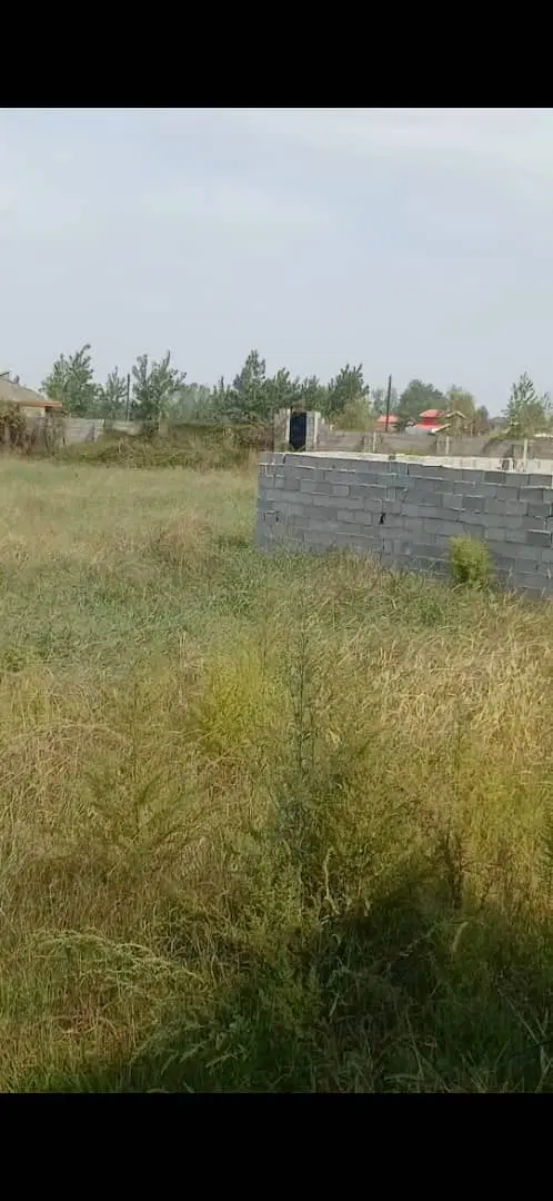 زمین روستای صیقلان ورزل رشت
