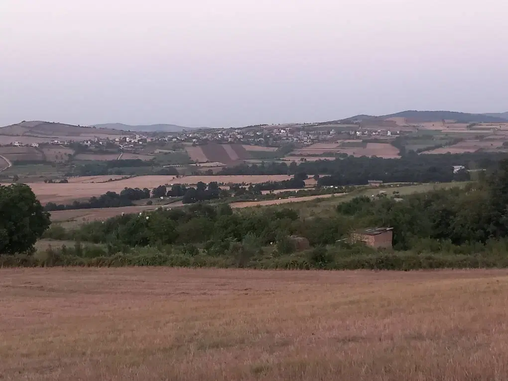 زمین باغی روستای شموشک