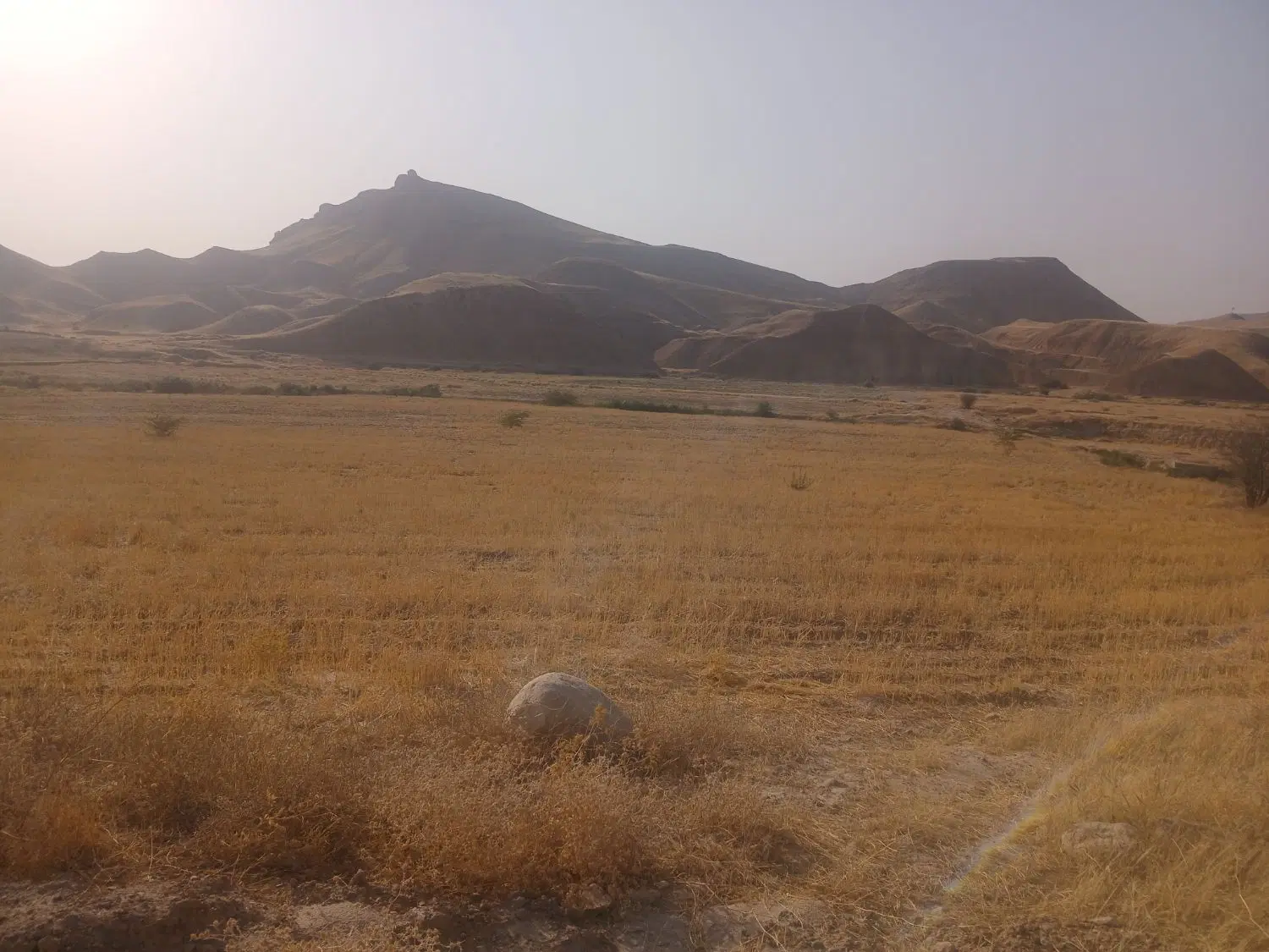 زمین کشاورزی