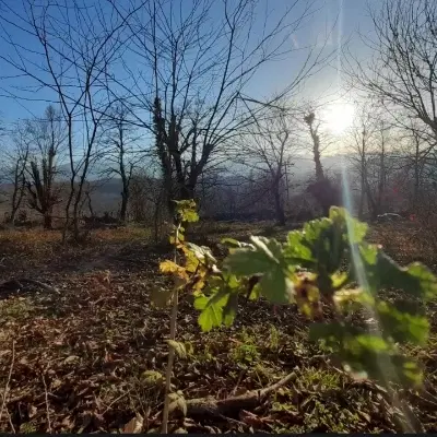 زمین برای باغچه ومسکونی سندتک برگ یزدآباد