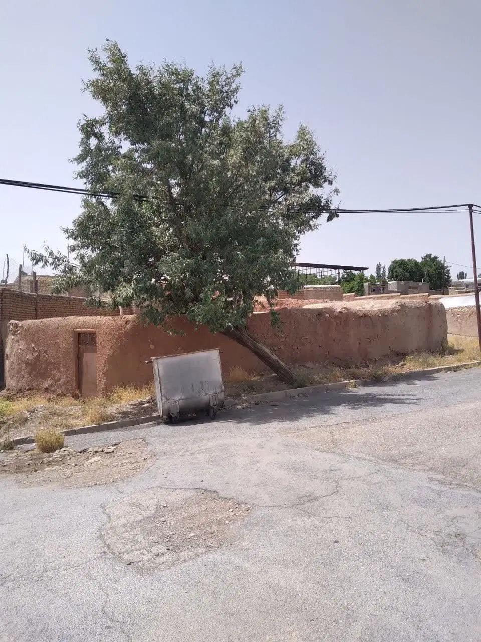 زمین