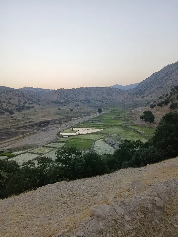 فروش زمین