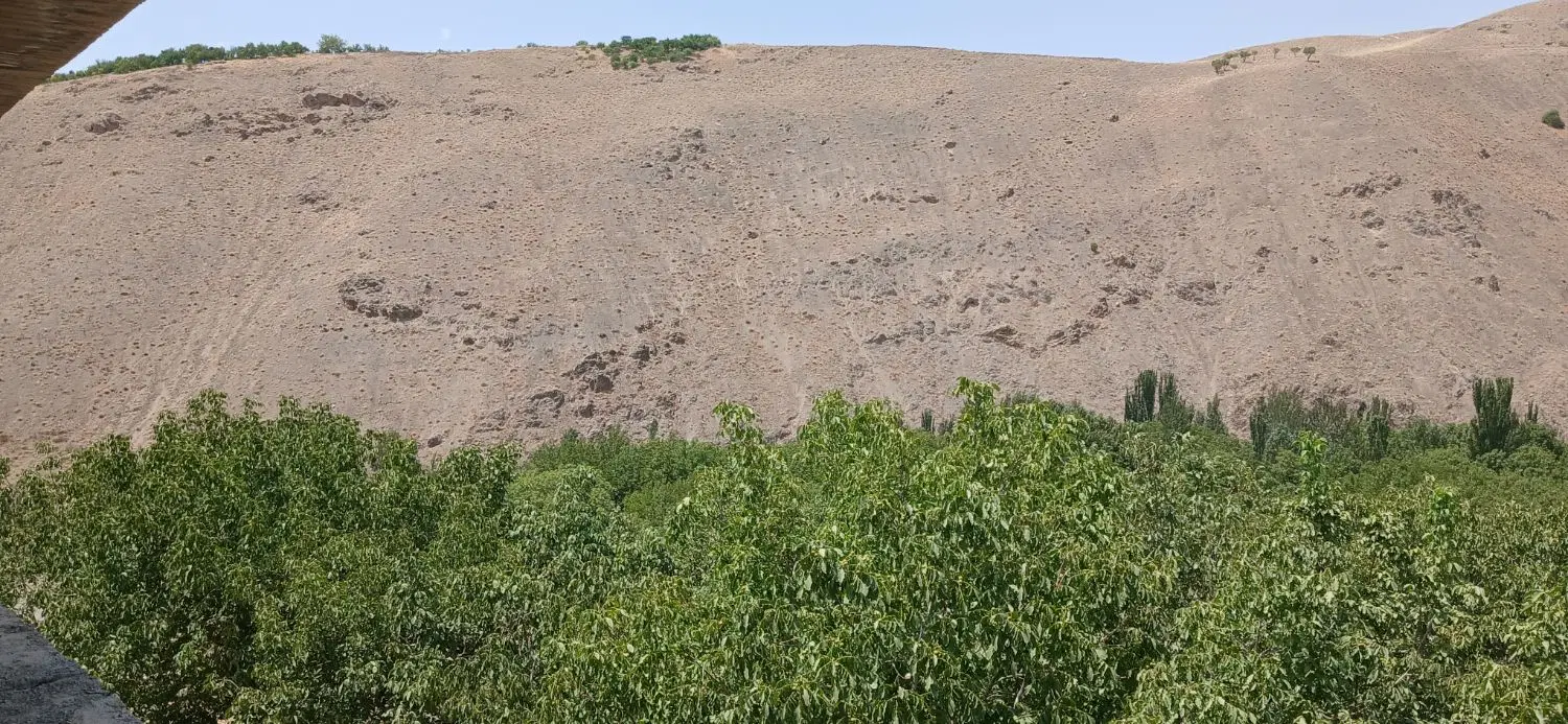 یک واحد کنار رودخانه و جنگل