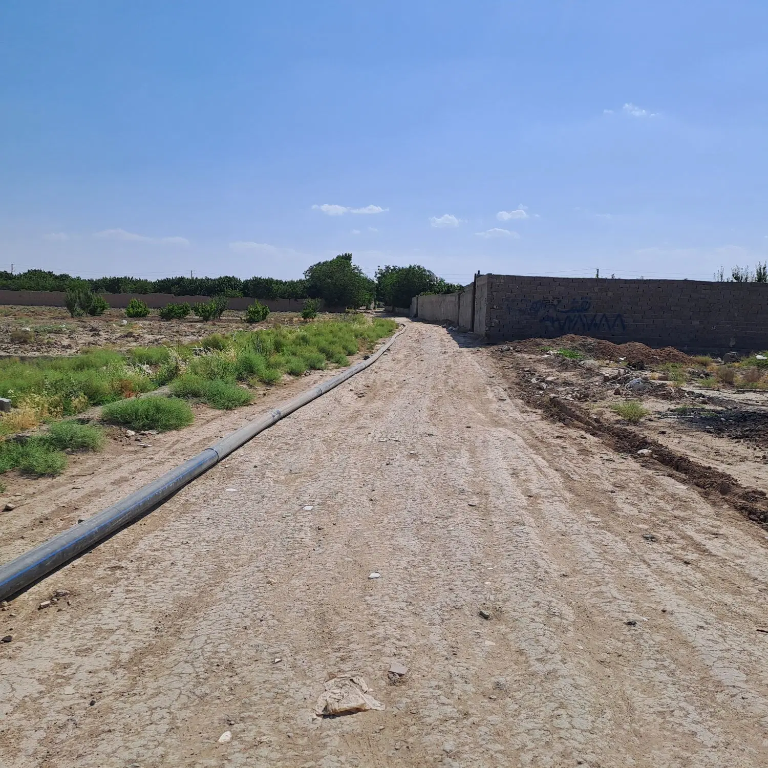 زمین بایر کشاورزی سند تک برگ