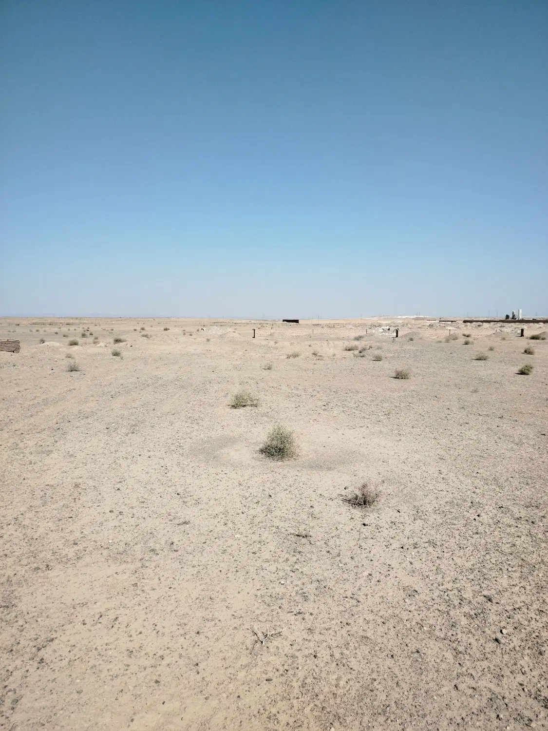 زمین کوه سفید