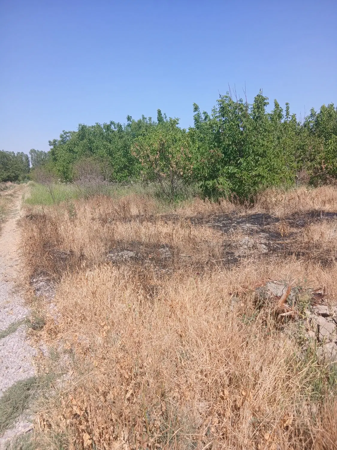 ۷۰۰ متر زمین خالی دارای سهم آب چاه عمیق