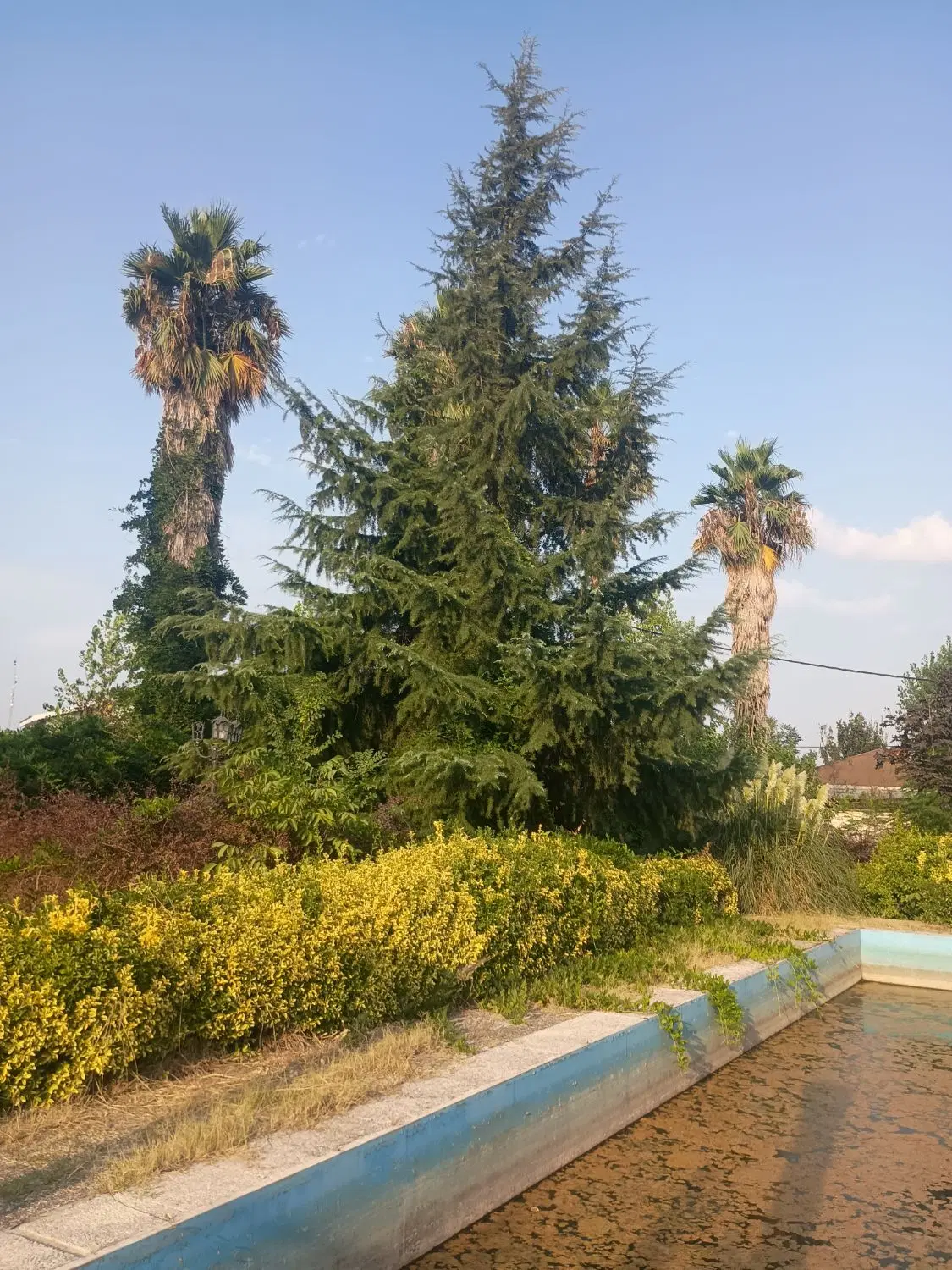 زمین سنددار