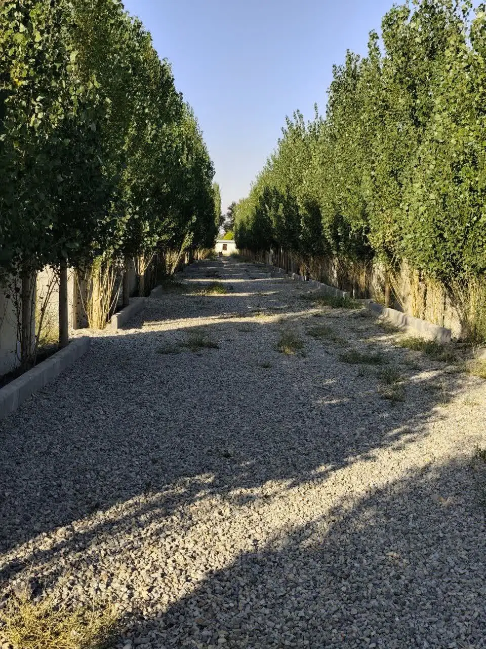 زمین ۵۰۰ متری ویلایی شهرکی