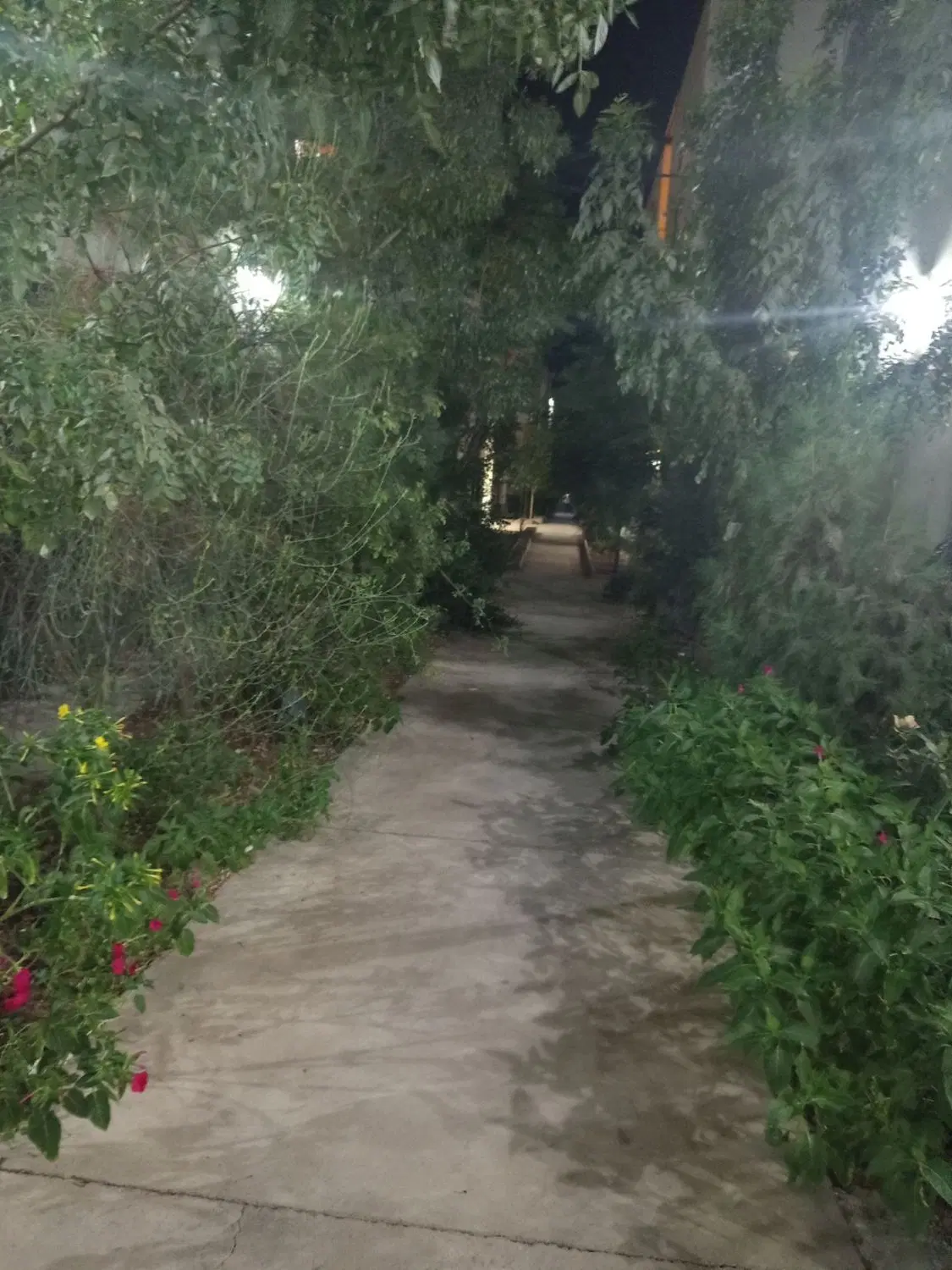 واحد دو خوابه ۷۵متری فول تخلیه کیسون