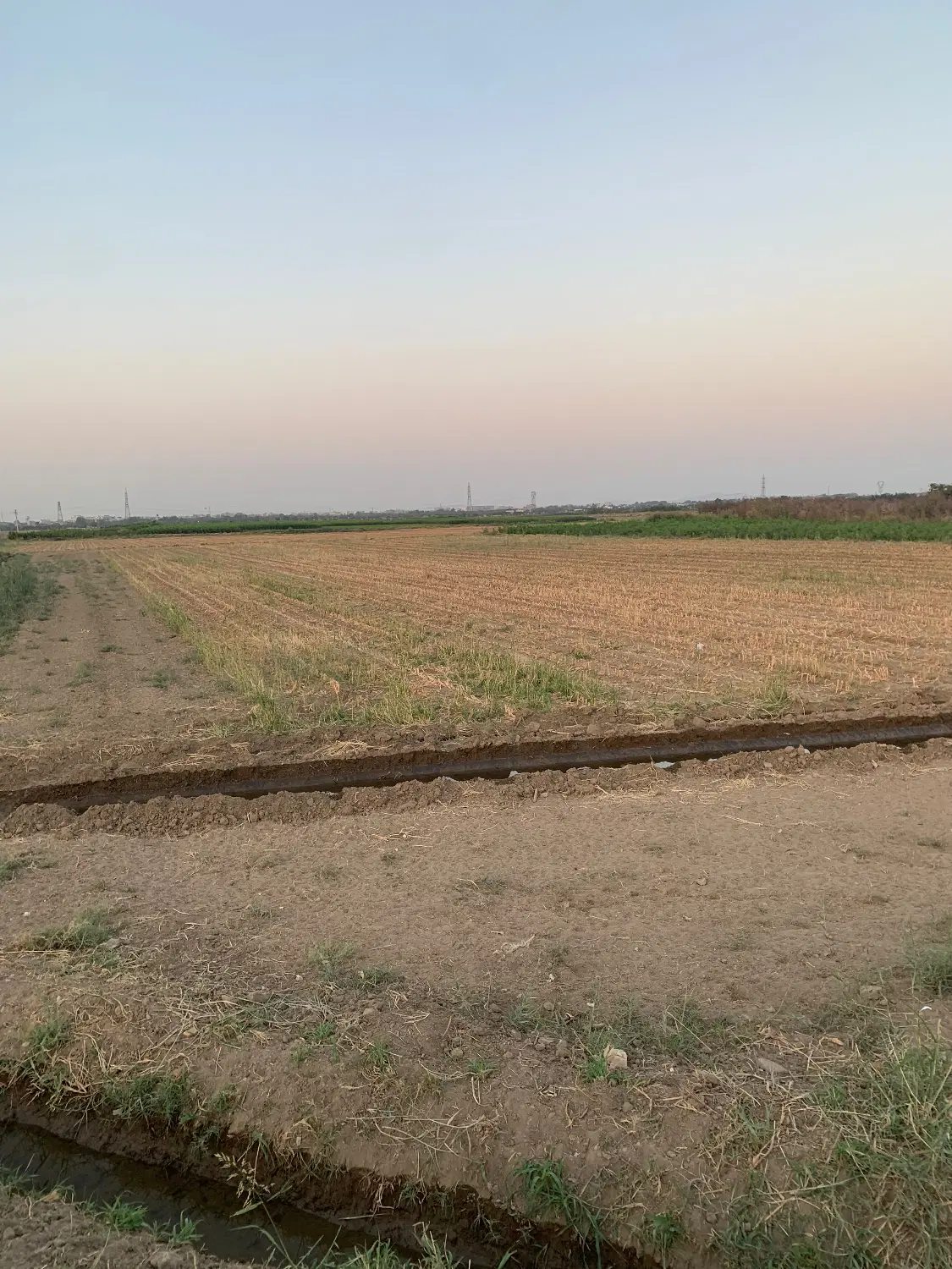 ۱۲۰۰۰ مت زمین کشاورزی