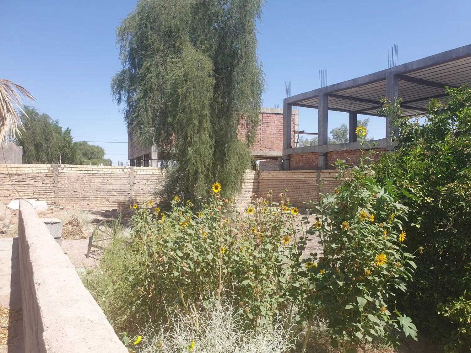 330 متر زمین در سلمان ۲ پارسا ۱
