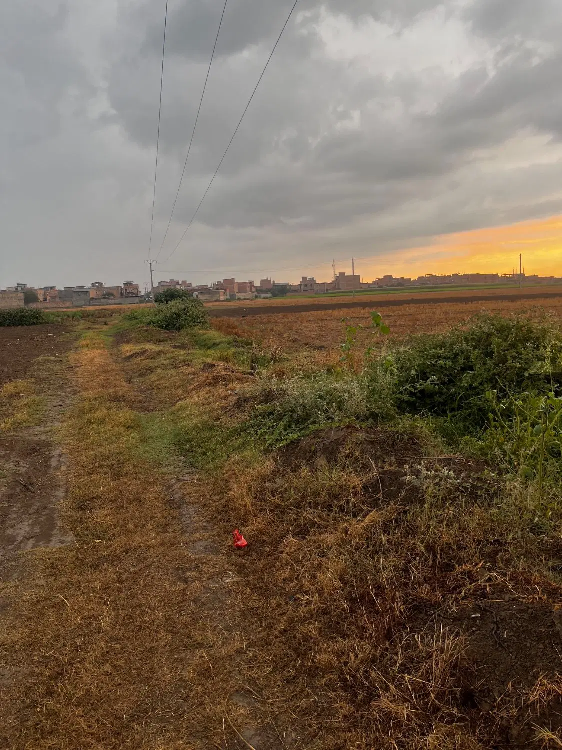 زمین کشاورزی جلین