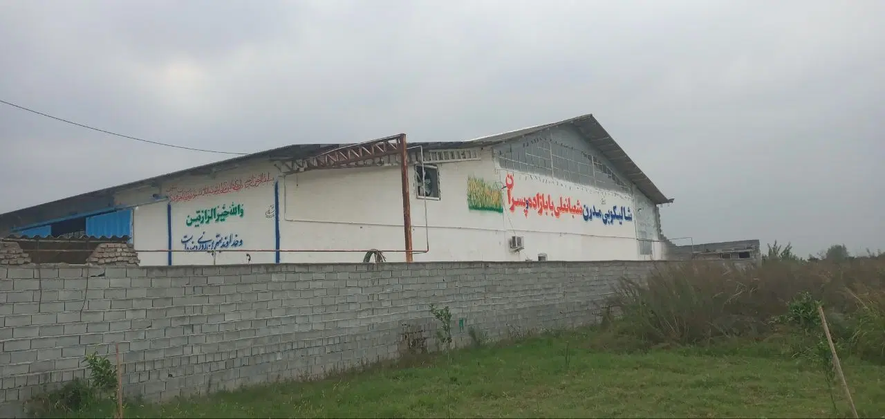 فروش کارخانه شالیکوبی مدرن تولیدی برنج