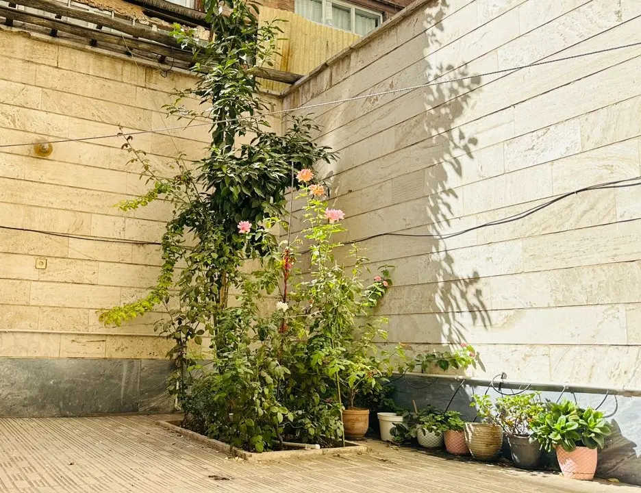 واحد ۵۰ متری +(۱۶حیاط)