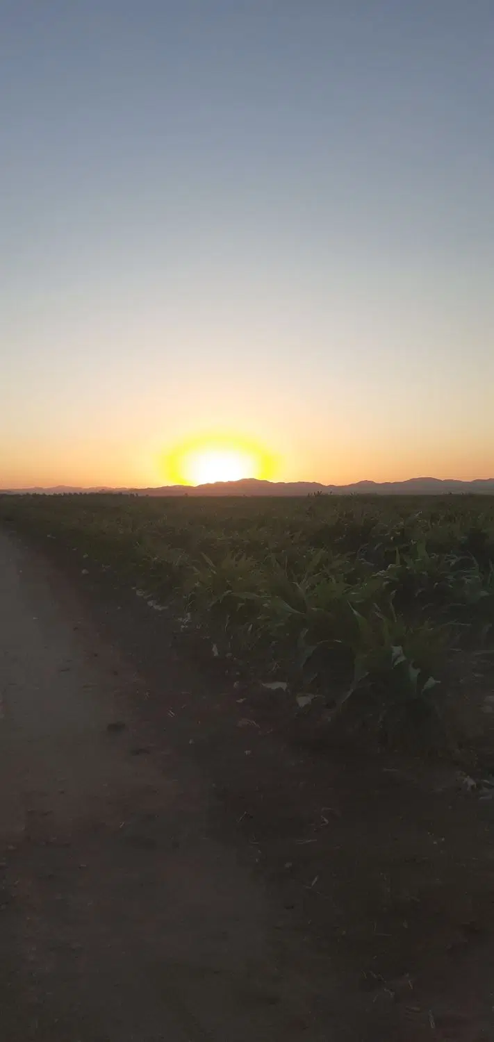 باغ کوچک