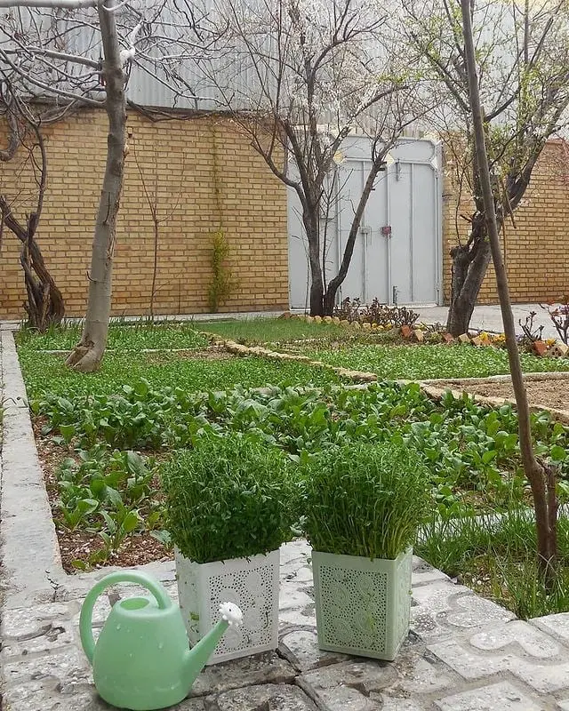 زمین سروک معاوضه با خودرو