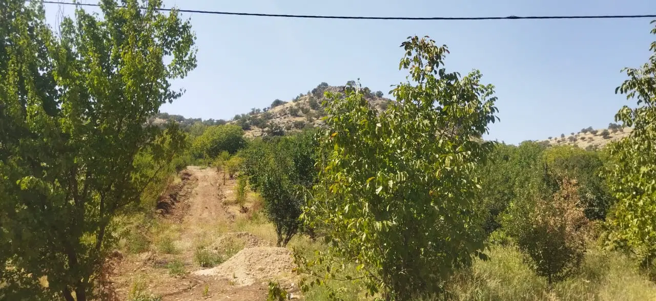 زمین باغ و ویلا