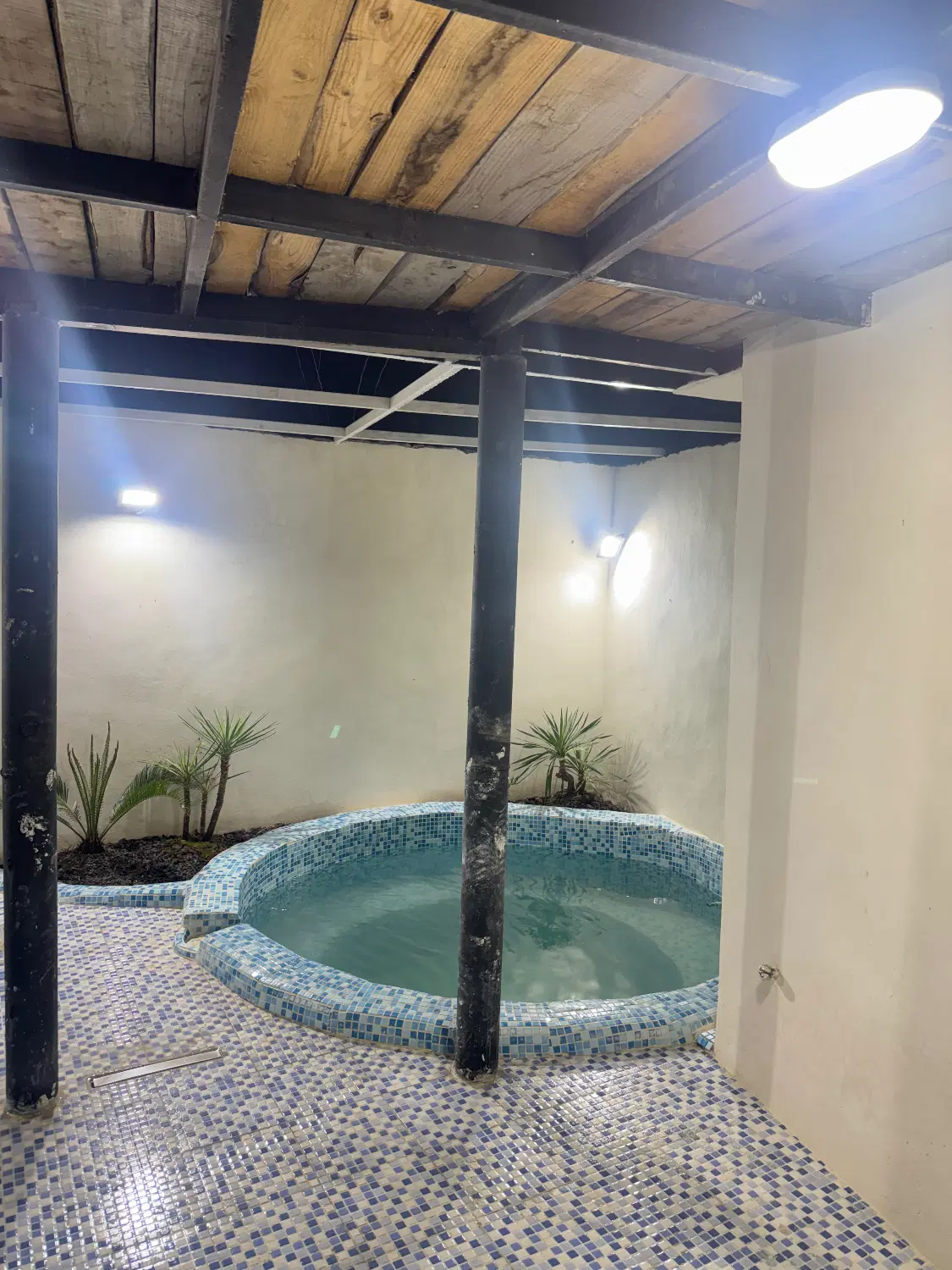 کلبه جکوزی دار دربست