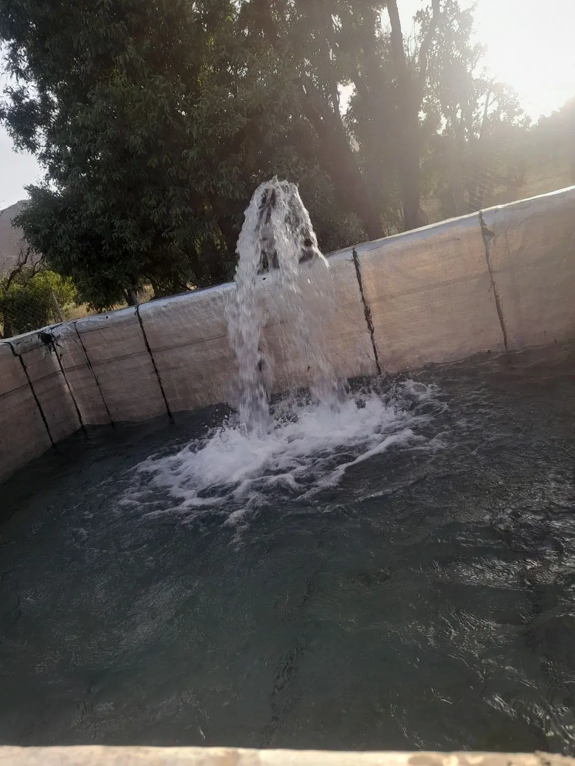 باغ فروشی جاده الگودرز