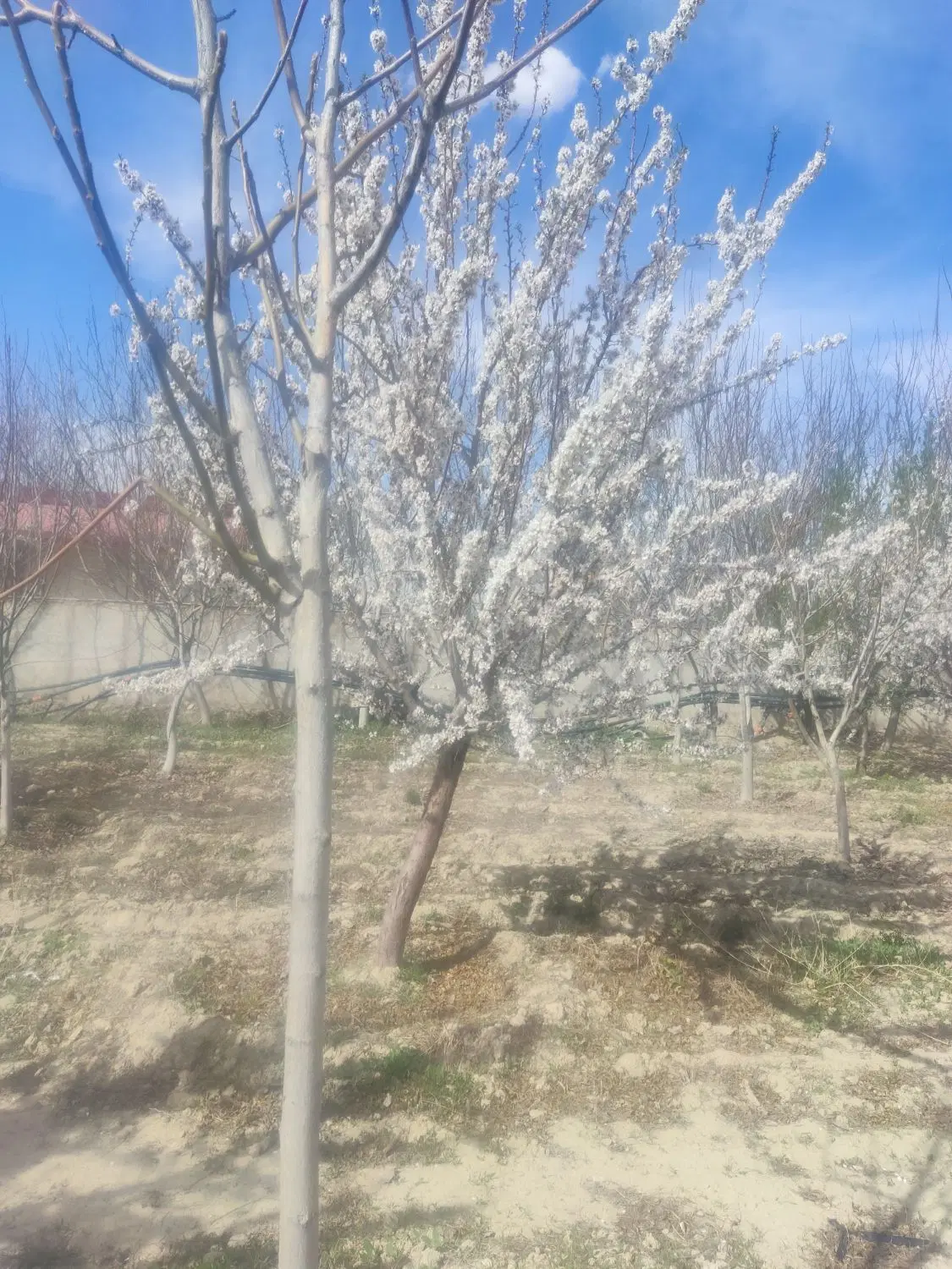 فروش زمین تجاری
