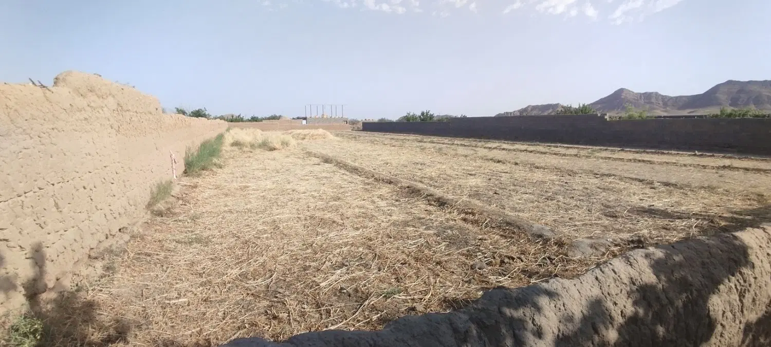 زمین کشاورزی