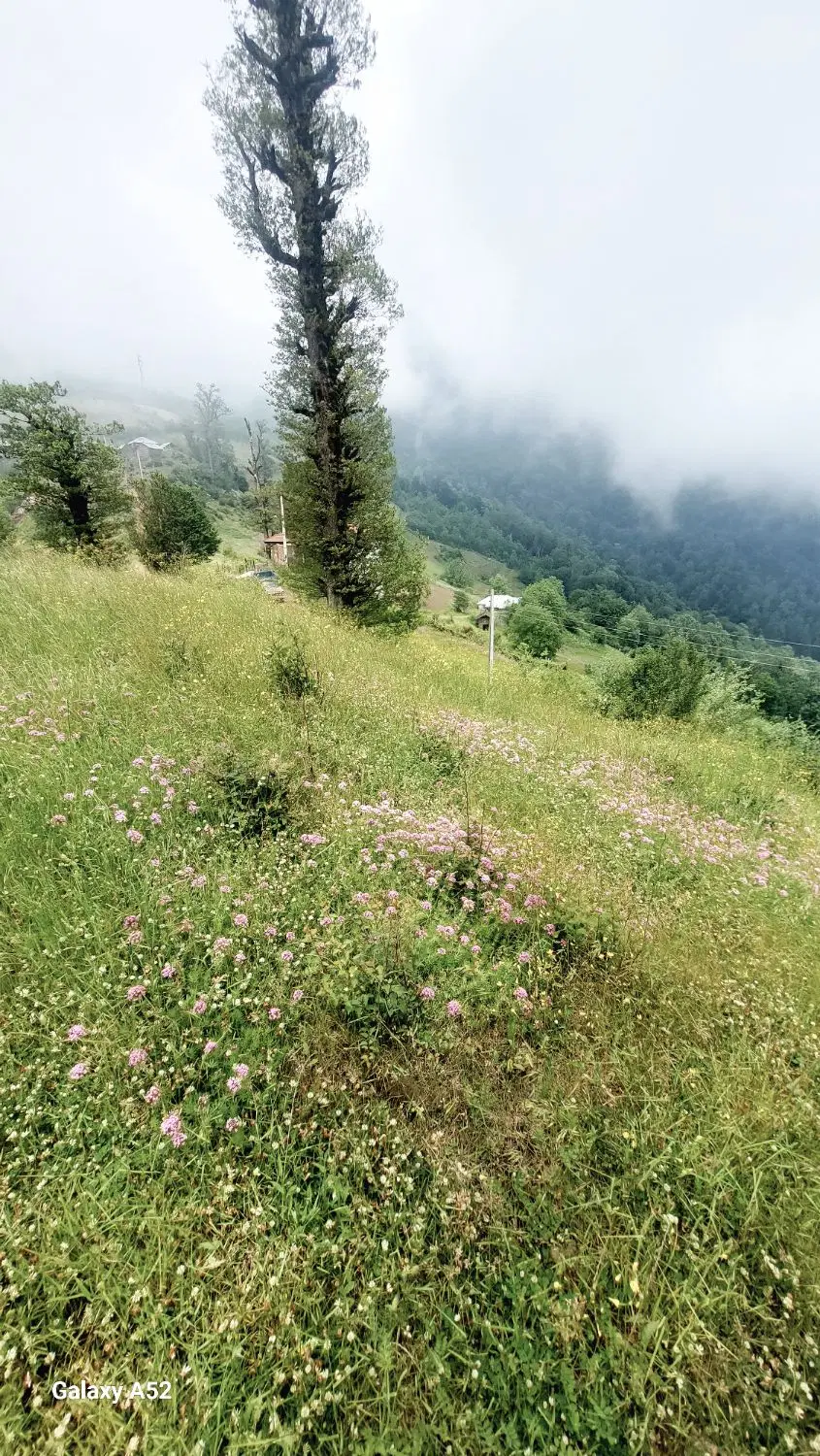 زمین ویلاروستای