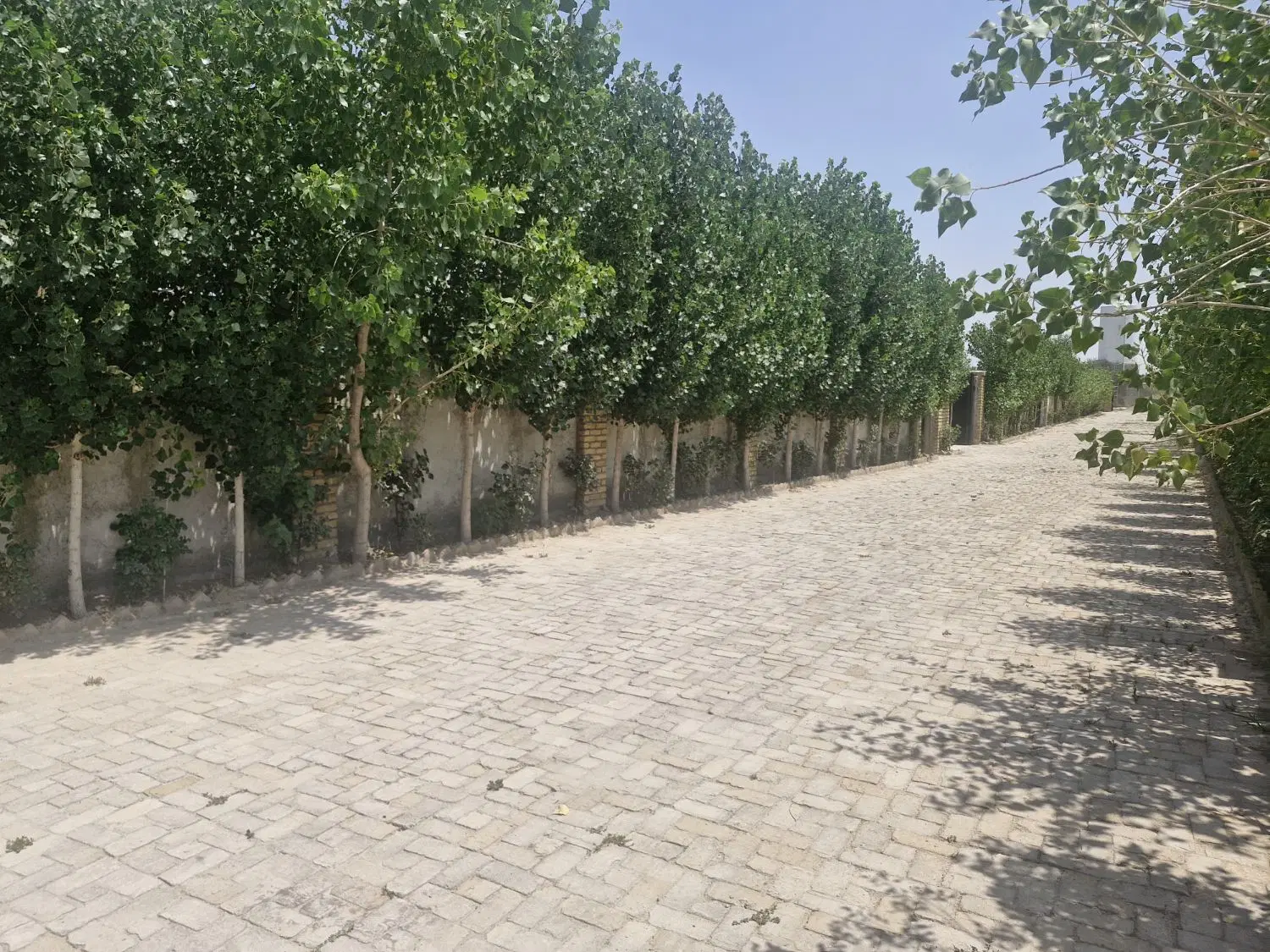 باغچه چهار دیواری با انشعابات و نگهبانی