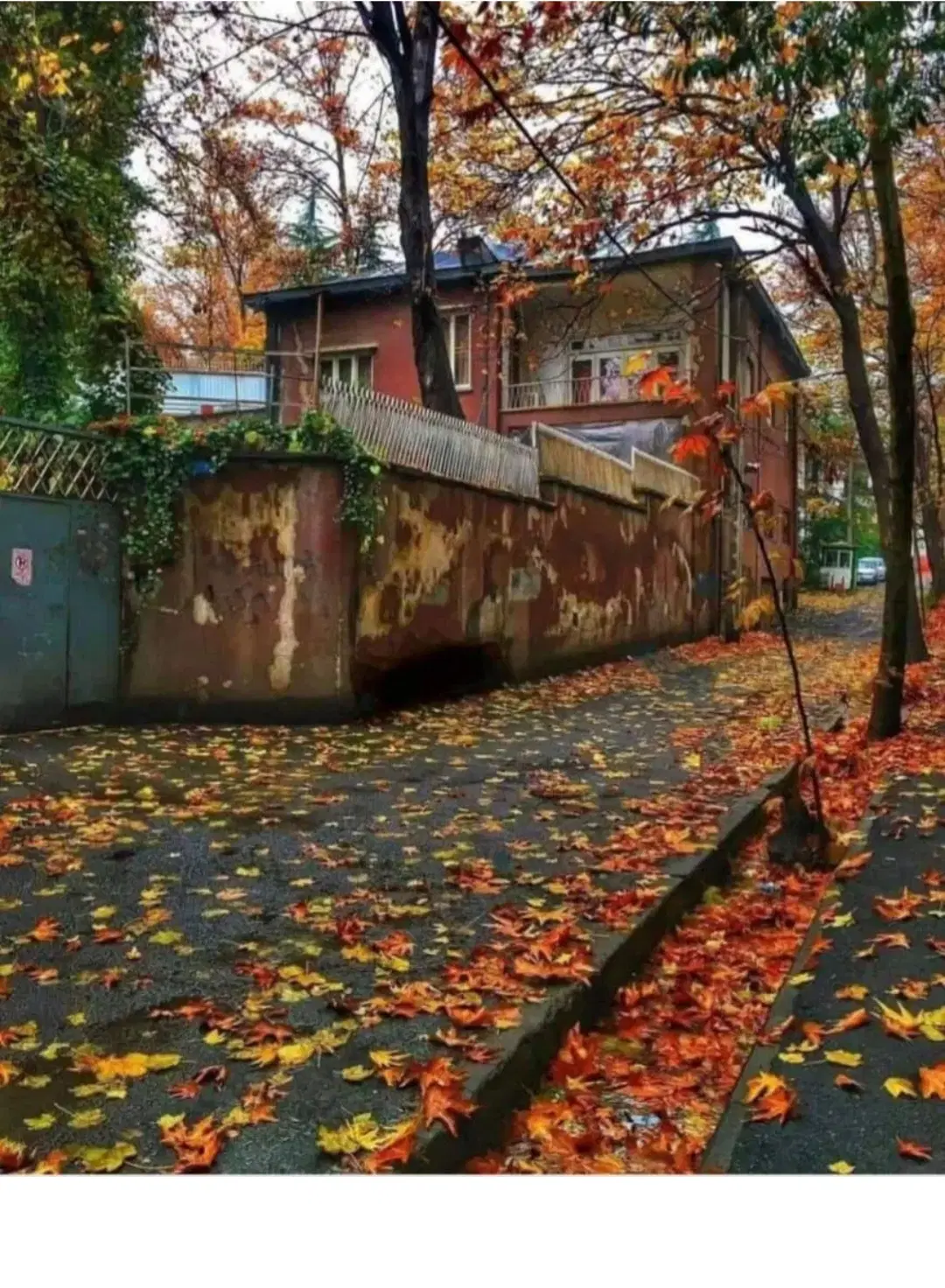بلوار پرستار  ۱۰۰متری