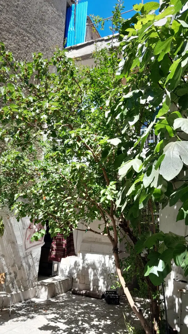 خانه کلنگی