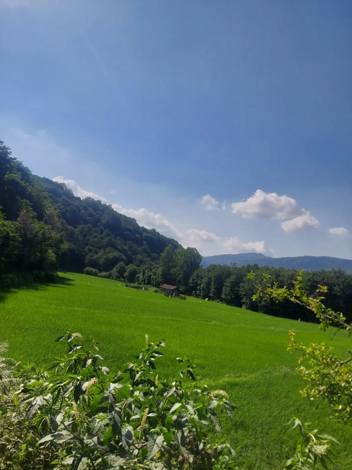 اجاره ویلا سنتی در حومه رشت
