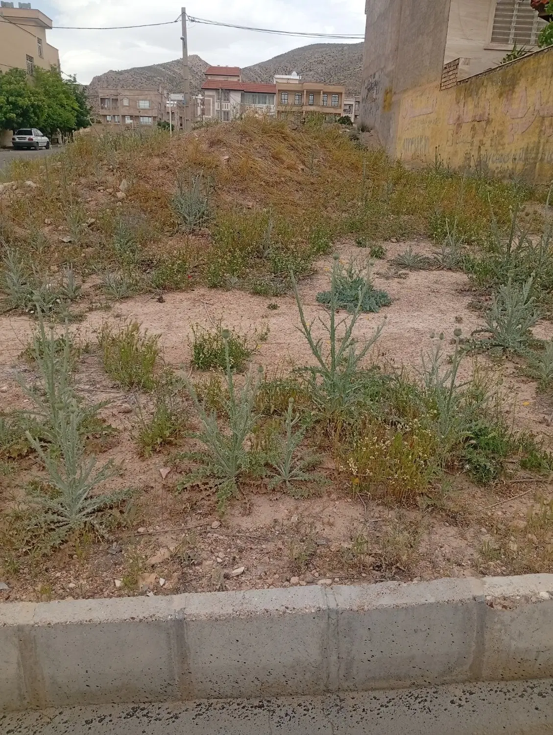 زمین مسکونی صدرا
