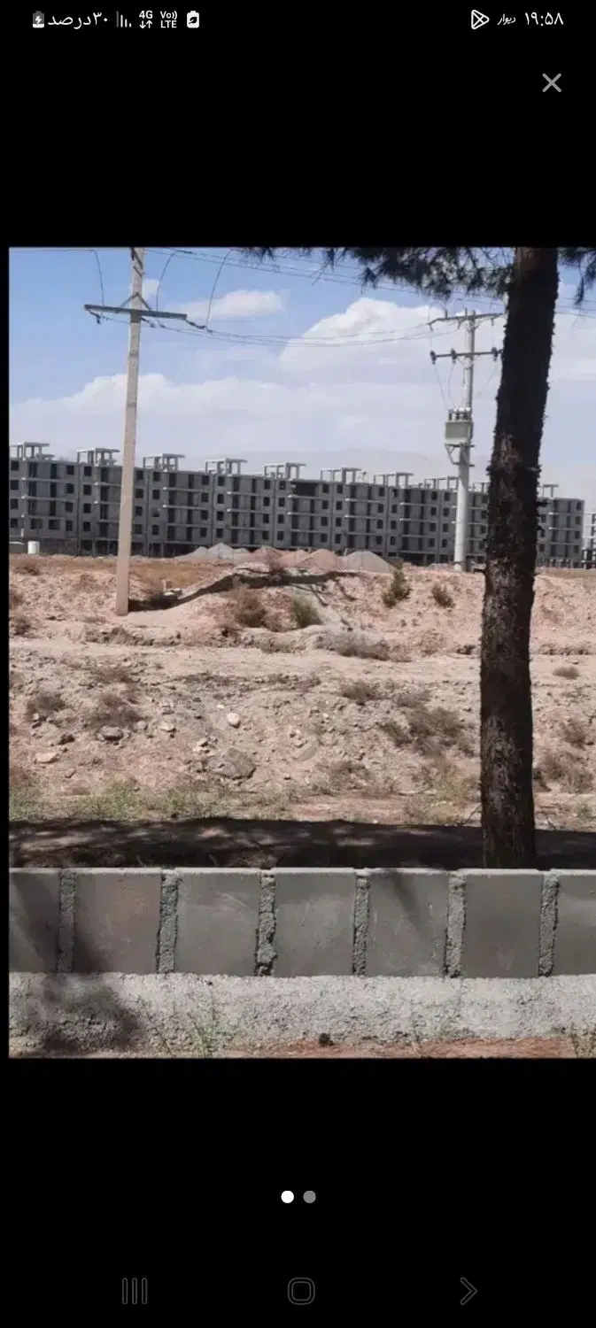 سند تک برگ