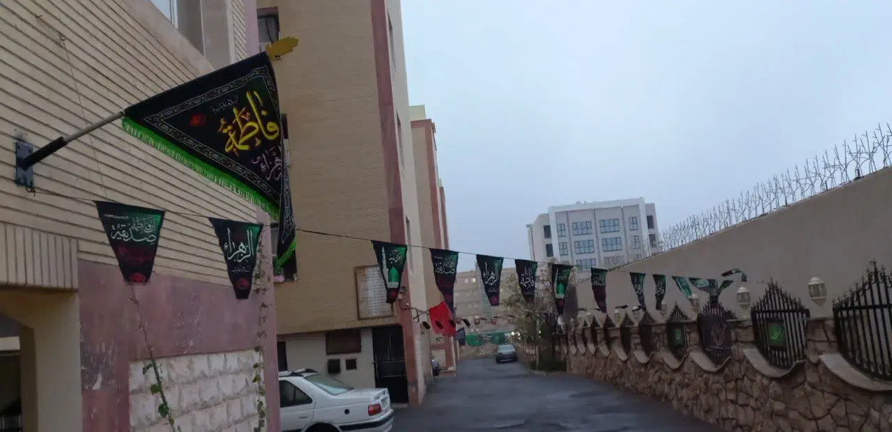 83 متر سند تک برگ