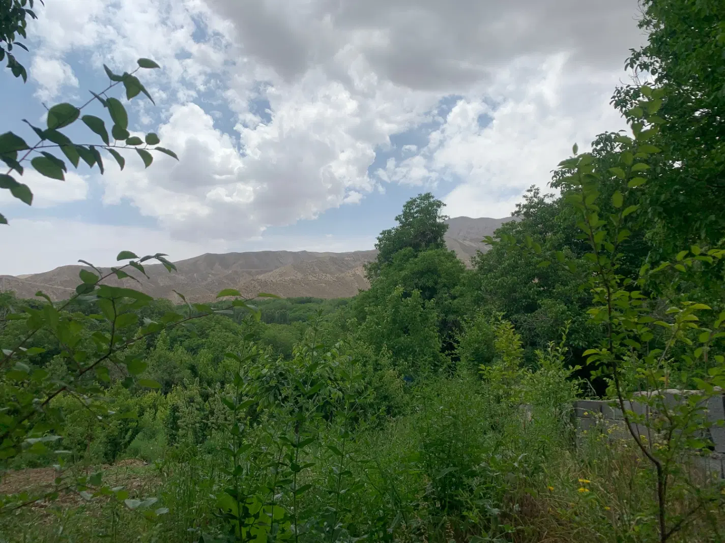باغچه نزدیک تهران( روستای حصاربن دماوند)