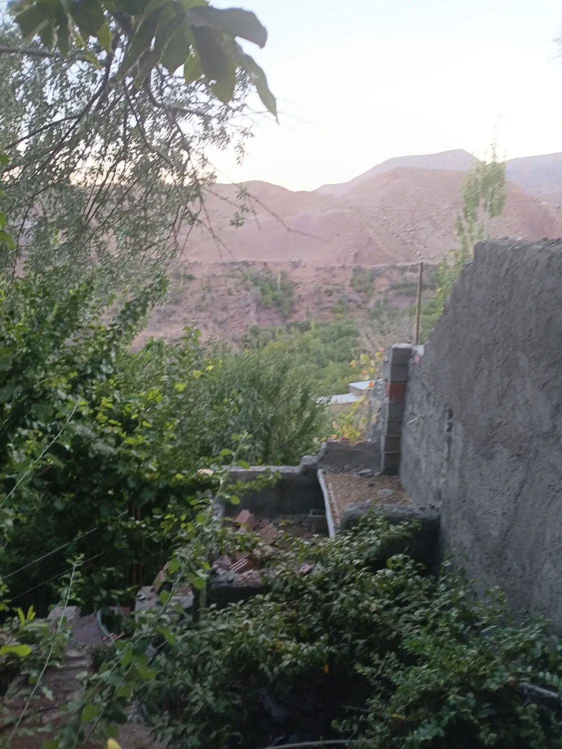 باغ ویلا