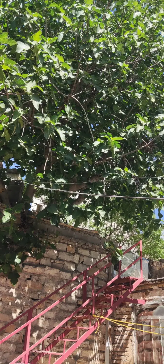 خانه ویلایی خیابان بهار