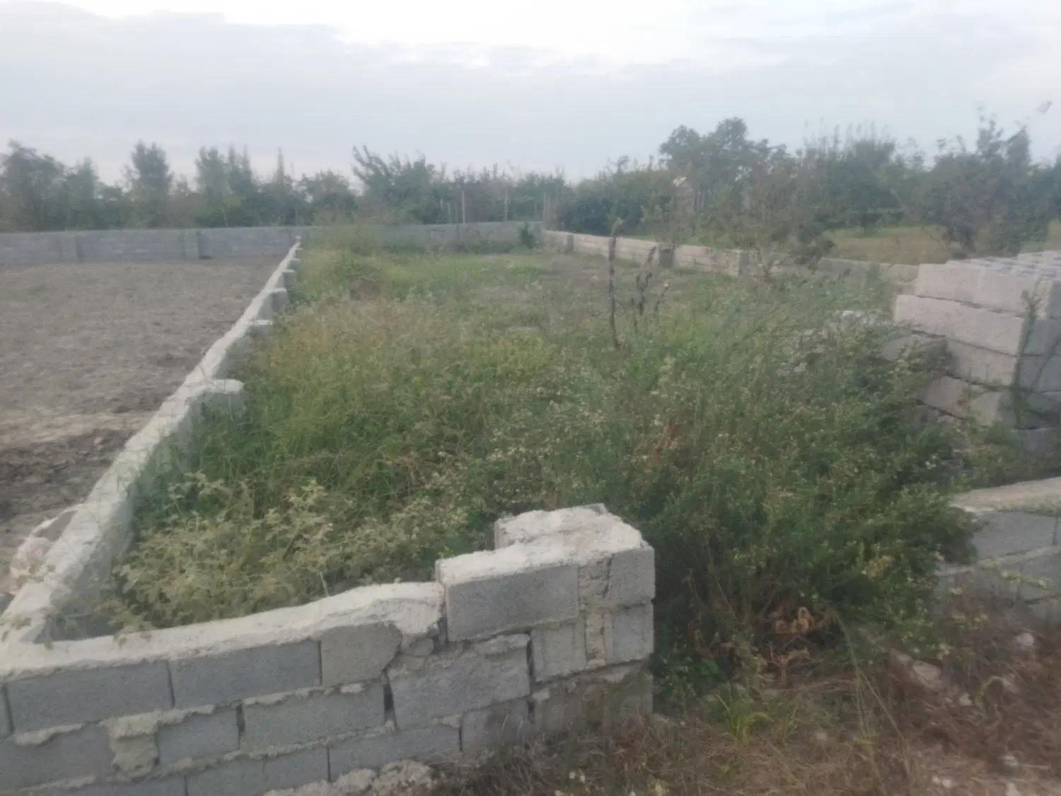 زمین فروشی